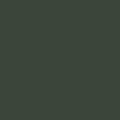 SPECTRAL tannengrün ultramatt